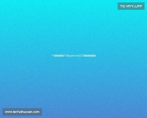 11万多圆梦保时捷！11年Cayenne3.0T，老炮儿的优雅之选？